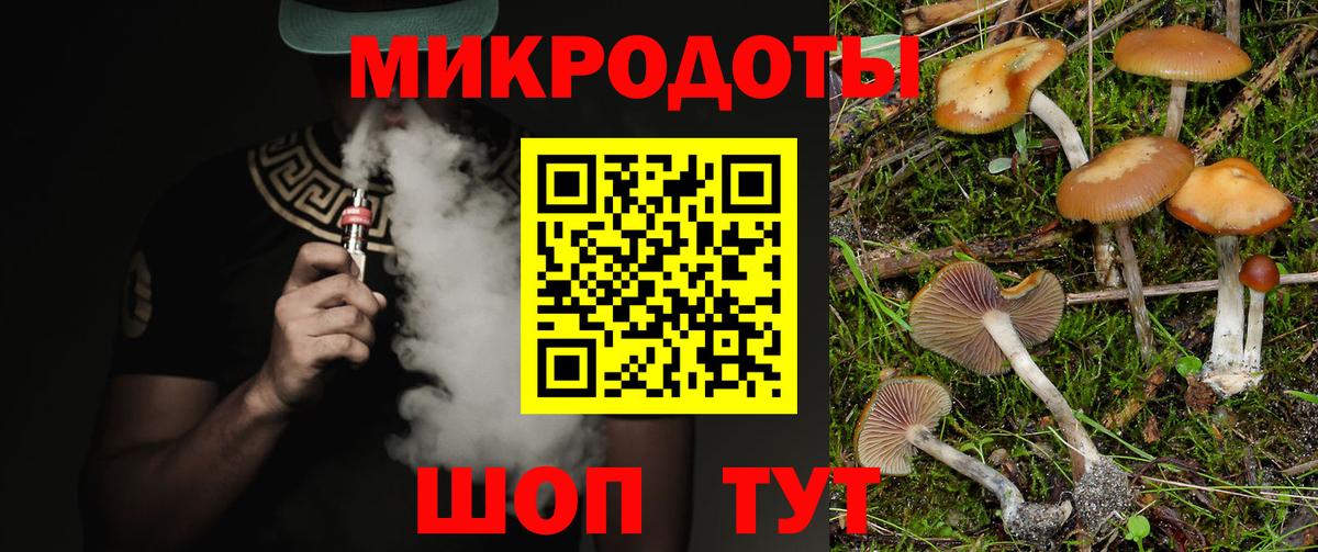 Галлюциногенные грибы MAGIC MUSHROOMS Сибай